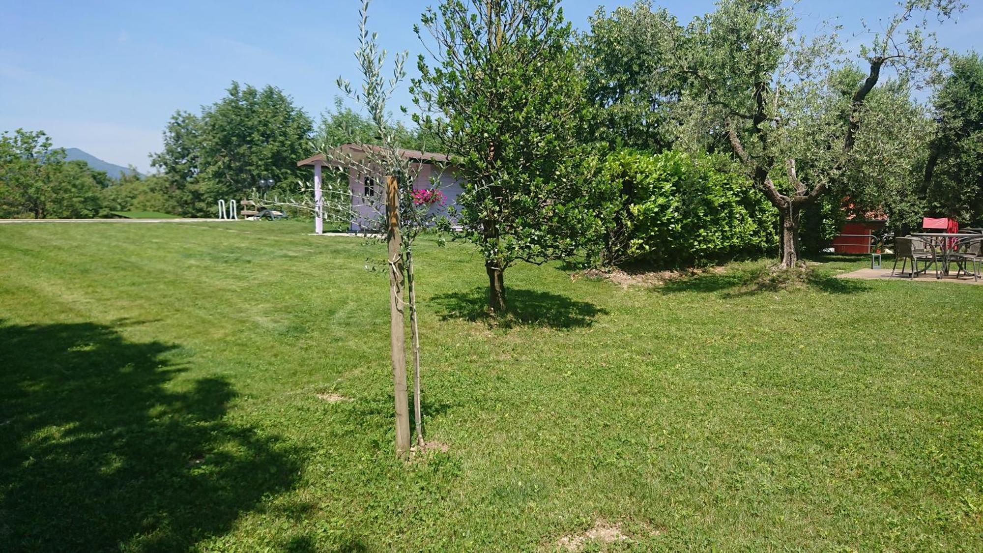 Apartmán Il Carpino Bianco Bilocale Puegnago Pokoj fotografie